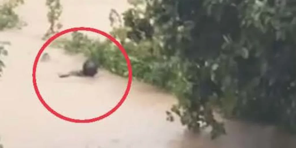 dimarhos skiathou 7 9 23.jpg