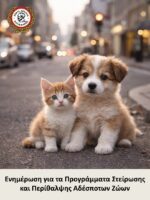 Προγράμματα στείρωσης και περίθαλψης αδέσποτων ζώων